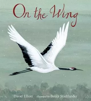 on the wing